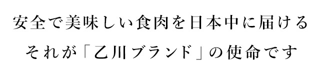 それが「乙川ブランド」の使命です